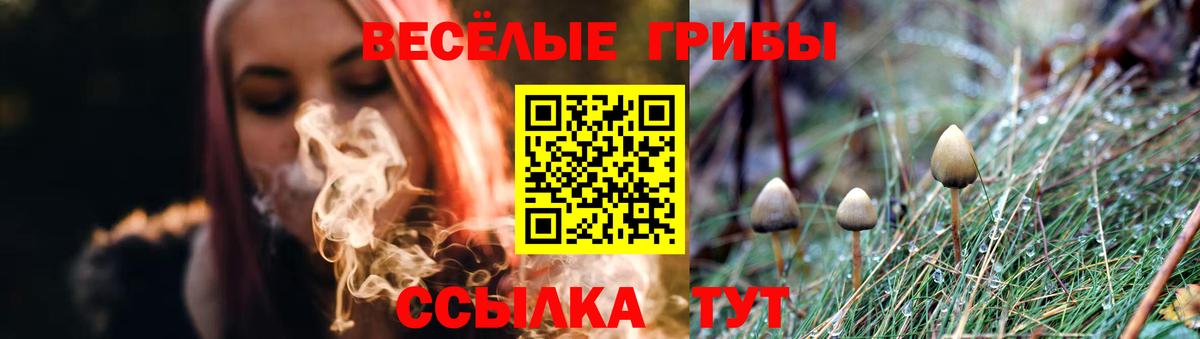 Галлюциногенные грибы Psilocybine cubensis Балашиха